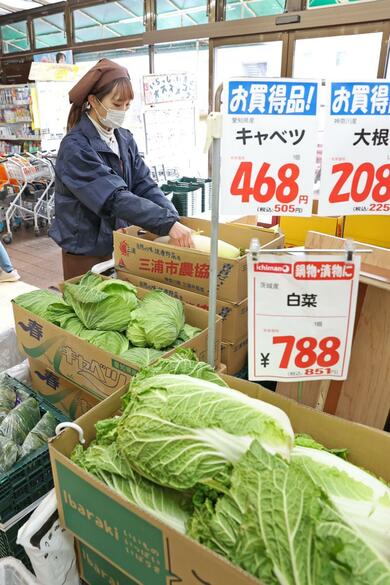 新潟県内スーパーも野菜高騰、キャベツ500円ハクサイ850円超…食卓直撃
