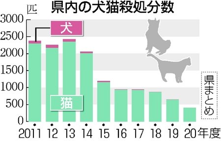 犬猫殺処分 過去最少の406匹 新潟日報デジタルプラス