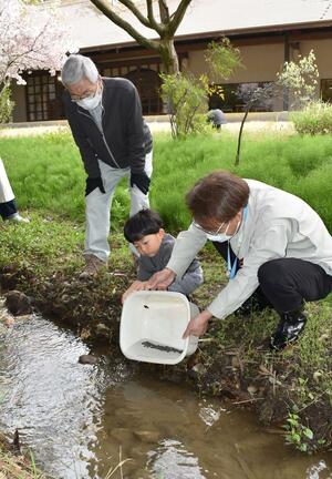ホタルの幼虫を放流する愛好会メンバーら=4月16日、新潟市南区味方