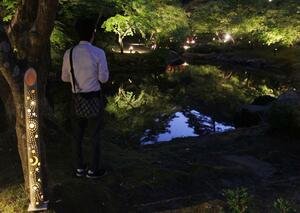 弥彦公園の新緑ライトアップ。竹灯籠と池に映る逆さの新緑も幻想的だ=5月18日、弥彦村弥彦