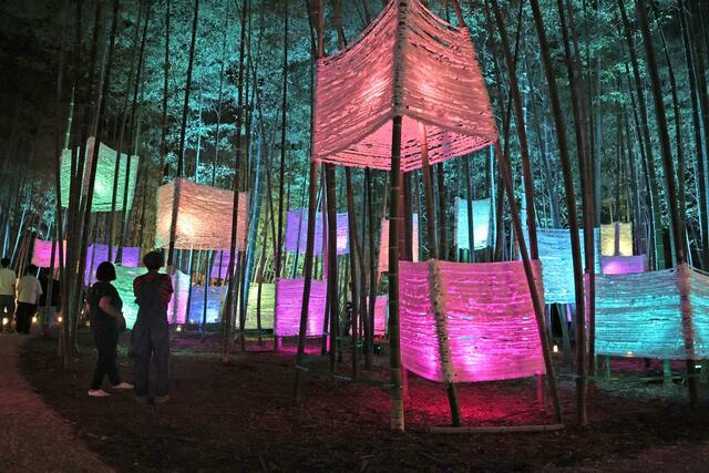 「竹あかり」のアートが町を彩る「たがみバンブーブー」のメイン会場＝９月１４日夜、田上町原ケ崎新田