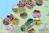 ［花スポット×映えスポット］新潟県内の花畑や名所、マップで紹介♪春・夏・秋…今の見頃は？