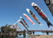 青や赤や黒、弁天岩に60匹が潮風受けゆったりと舞う　糸魚川市能生に今年もこいのぼりがお目見え！