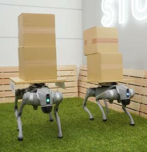　富士通のフィジカルＡＩ技術を搭載し、荷物が落ちないよう慎重に歩くロボット（左）と搭載していないロボット＝２３日午後、川崎市