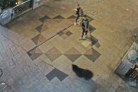 熊の目撃相次ぐ宇都宮市、市立小中学校9日も休校に　市は危険鳥獣対策本部設置