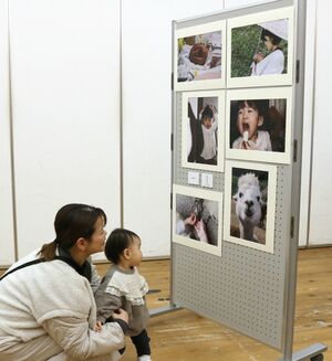 びより写真部の活動の集大成として開催された写真展=2月13日、新潟市中央区