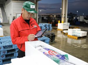 買い付けた鮮魚の情報をタブレットに入力する角上魚類HDの加藤雅章課長=新潟市江南区