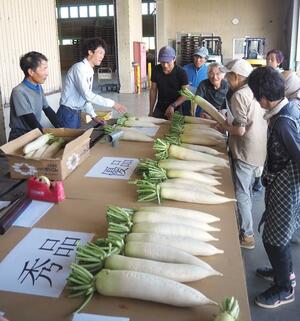 生産者がダイコンの出荷基準を確認した「目合わせ会」=新潟市西区