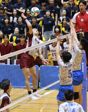 県高校総体バレーボール男子決勝　スパイクを放つ関根学園の下鳥漣大=６月８日、小千谷市総合体育館