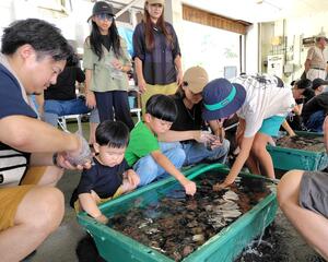 地域の食などを楽しんだ笹川流れハーバーマーケット=村上市桑川