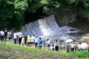 香川県まんのう町の満濃池で行われた「ゆる抜き」=15日午後