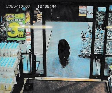 スーパーにクマ侵入、2人負傷 店外へ逃走、群馬・沼田 | 新潟日報