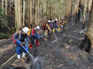 3月、岩手県大船渡市の山林火災で消火活動する同市の消防団員ら(総務省消防庁提供)