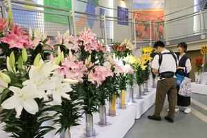 県内の生産者による自慢の切り花が並んだ県花きコンテスト=新潟市西区