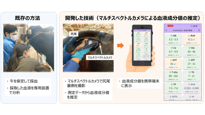 よくわかる・得意になる! 牛の血液検査学 よくわかる・得意になる! 牛の血液検査学 | 水谷 尚 |本 | 通販