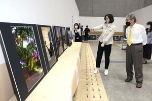 県展の写真部門の審査=5月20日、新潟市中央区の朱鷺メッセ