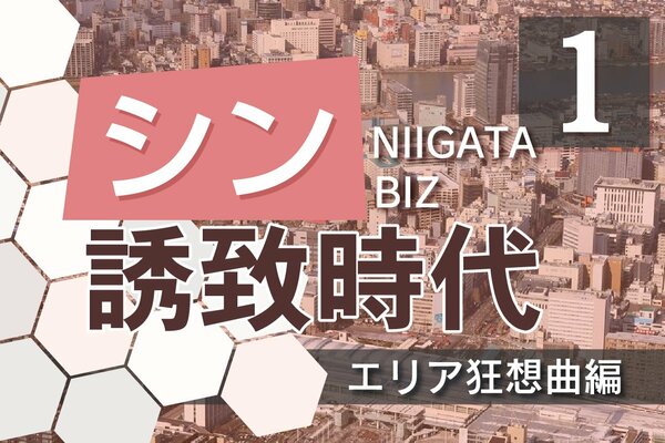 シンバスタコアのリーフレット