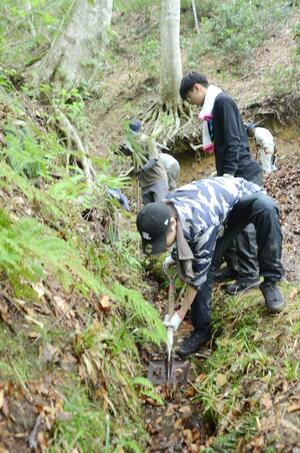 水路を清掃する参加者=津南町秋成