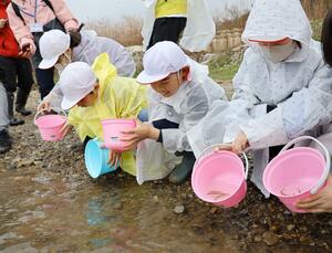 三面川に鮭の稚魚を放流した小学生たち=村上市羽下ケ渕