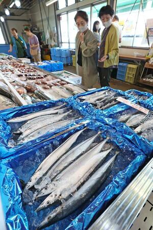 店頭に並んだサンマ。脂の乗りは抜群だという=新潟市中央区の万代島鮮魚センター