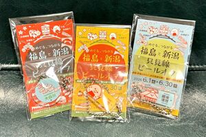 小出駅、越後須原駅、大白川駅のキーホルダー