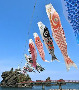 潮風を受けて泳ぐこいのぼり=糸魚川市能生