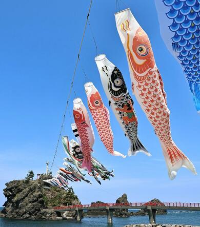 こいのぼり60匹、潮風受けて悠々と… 糸魚川市能生の海岸に今年も