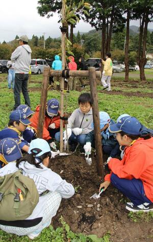 植樹祭で、結桜の苗木に土をかける参加者=阿賀野市村杉