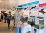 さまざまな両生類を観察できる企画展=十日町市松之山松口