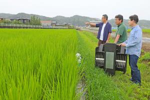 加茂ユナイテッドが導入したアイガモロボと雑草が抑えられた水田=加茂市