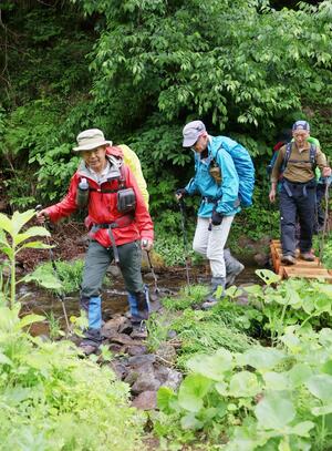 山開きした守門岳で山頂を目指し歩く登山者=24日、長岡市入塩川