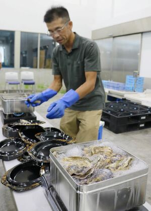 海洋深層水で低温保存した加茂湖産カキの試食会=8月27日、新潟市中央区万代島