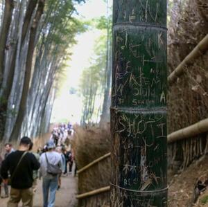 　「竹林の小径」の落書きされた竹＝１０日、京都・嵐山