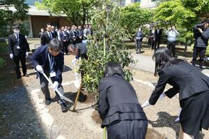 キンモクセイを植える男性の妻と長女ら=5月8日、新潟市中央区