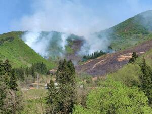 火災の現場＝２６日、魚沼市赤土