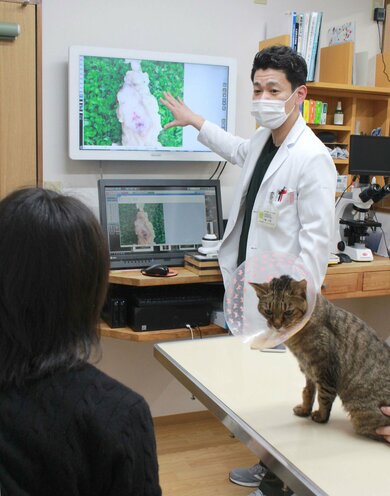 動物の皮膚がんに特化したサポートセンター開設 新潟日報デジタルプラス