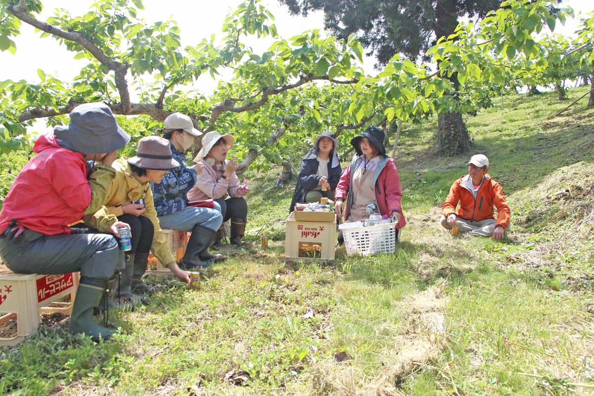 誰もが働きやすい農場を！新潟佐渡市の冨井ファーム、人材確保への環境