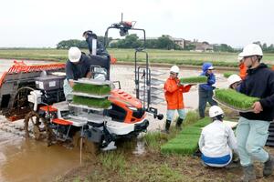 ロボット田植え機を使った実習で、田植え機に苗や肥料を積み込む県農業大学校の学生ら=5月31日、新潟市西蒲区巻甲