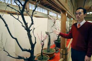 高知市の老舗料亭「得月楼」の「盆梅」と松岡憲史社長=25日