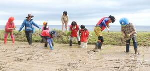 棚田みらい応援団が住民と行った田植え=11日、佐渡市