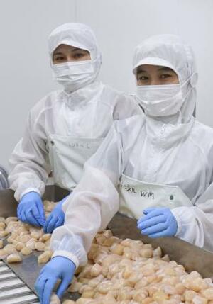 水産加工会社「オホーツクニチモウ」で働く外国人ら=9月、北海道紋別市