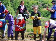 歌手の小林幸子さん、２年ぶりに訪問　実りに願いコメ！山古志小学校の児童らと笑顔で田植え　