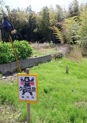 30日にクマが目撃された竹やぶ付近=1日、胎内市北本町