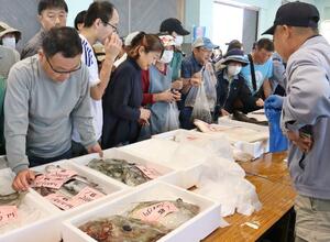 新鮮な魚を求める買い物客でにぎわった「大漁さかなまつり」=5月3日、出雲崎町尼瀬