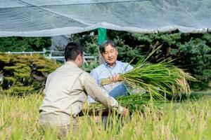 皇居内の田んぼで稲刈りをされる天皇陛下=9日午後(宮内庁提供)