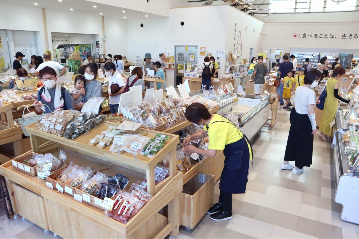 新潟県の観光復調！2023年の入り込み客数、前年比＋720万人 けん引役は