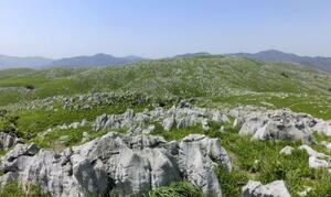 山口県美祢市の「Mine秋吉台」(日本ジオパークネットワーク提供)