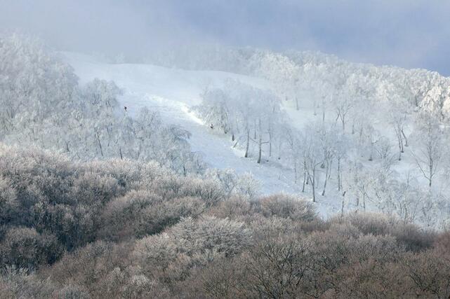 28日に雪崩が発生した斑尾高原スキー場=1日