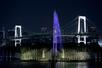 　東京都が港区のお台場海浜公園に整備した世界最大級の噴水「東京アクアシンフォニー」＝２８日夜