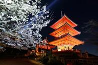 夜桜が彩る京都・清水寺の舞台